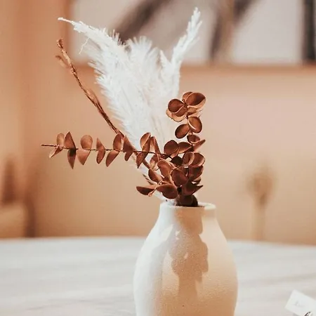 Apartman Cosy F3 Lamartine 102 Coeur-centre Clermont-Ferrand