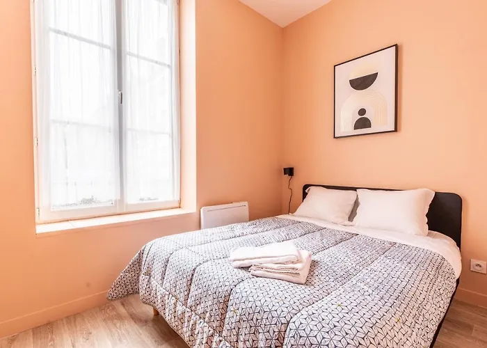 Cosy F3 Lamartine 102 Coeur-centre Clermont-Ferrand