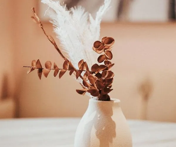 Apartment Cosy F3 Lamartine 102 Coeur-centre Clermont-Ferrand