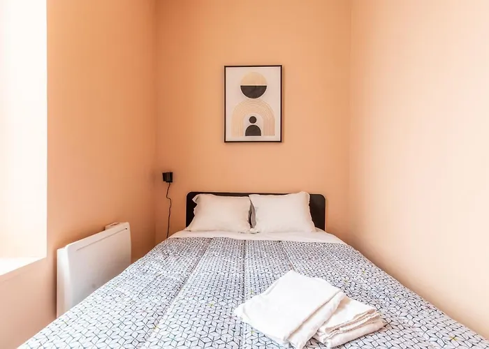 Cosy F3 Lamartine 102 Coeur-centre クレルモン・フェラン